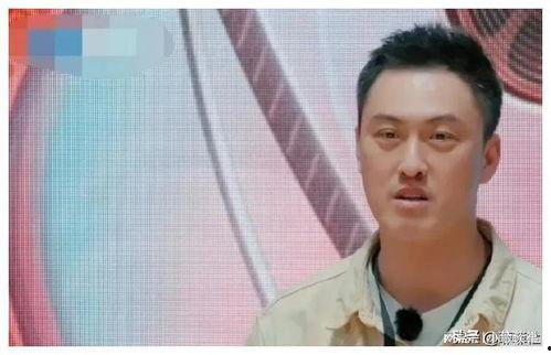 吃瓜娱乐圈最近